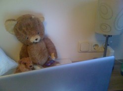 portraits-teddyz-und-bruno-internet