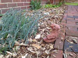 mai nachmittag garten - 9