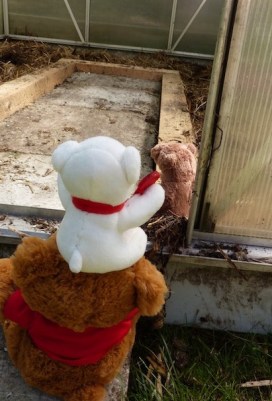 rudi und die piepmätze - 1