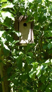 rudi und die piepmätze - 10