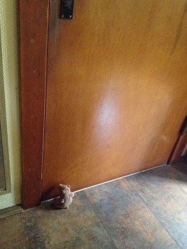 Herbstanfang2017 - 1 (1)