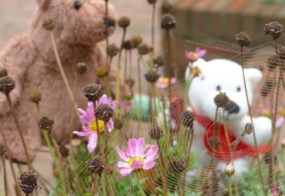 Herbstanfang2017 - 1